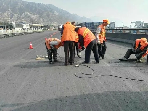 湖口道路桥梁病害治理